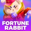 Fortune Rabbit